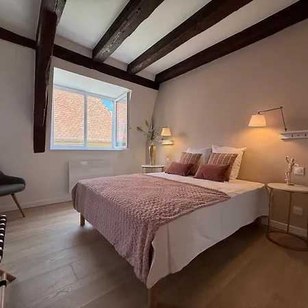 Le Jolie Duplex Appartement Colmar