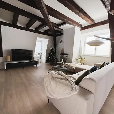 Daire Le Jolie Duplex Colmar