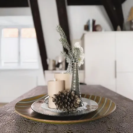 Apartamento Le Jolie Duplex Colmar