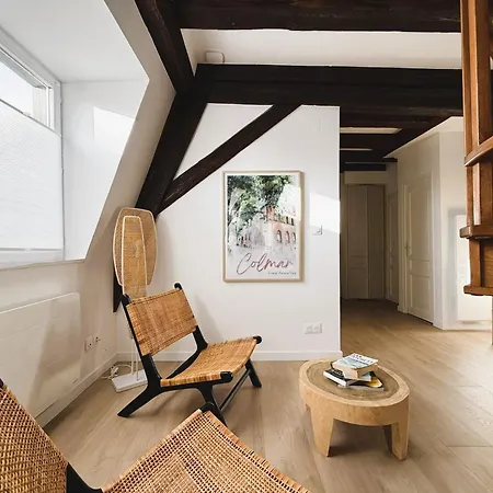 Le Jolie Duplex * Colmar