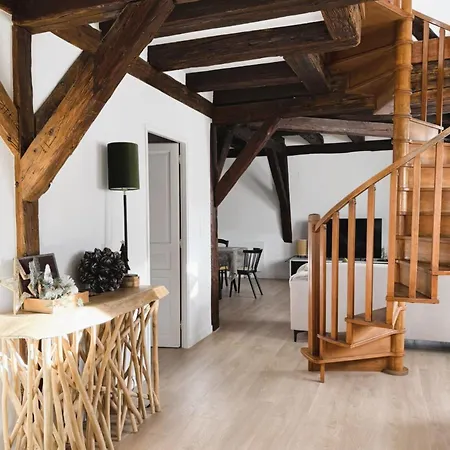 Appartamento Le Jolie Duplex Colmar