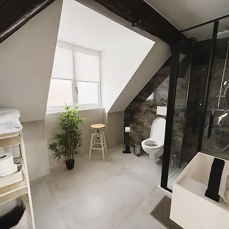 Apartamento Le Jolie Duplex Colmar