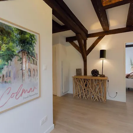 Le Jolie Duplex Appartamento Colmar