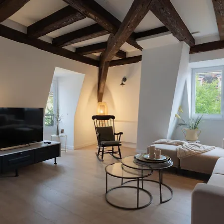 Appartamento Le Jolie Duplex Colmar