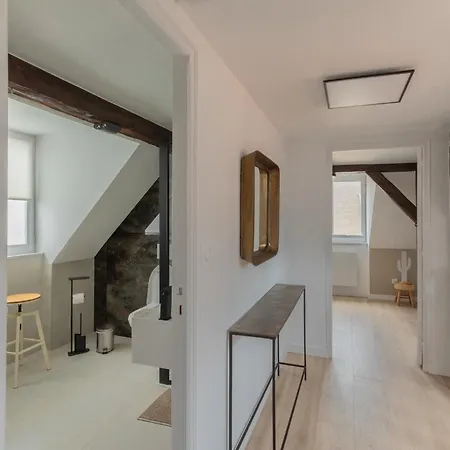 Le Jolie Duplex Colmar