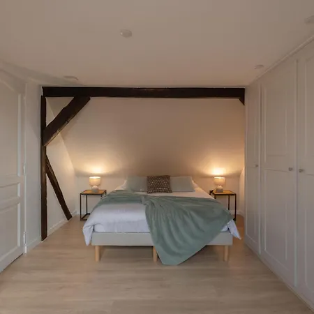 Le Jolie Duplex Appartamento Colmar