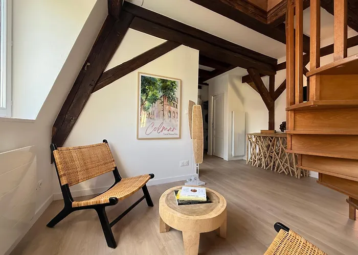 Le Jolie Duplex Colmar