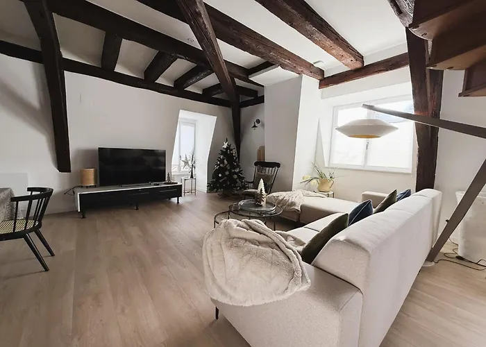 Apartamento Le Jolie Duplex Colmar