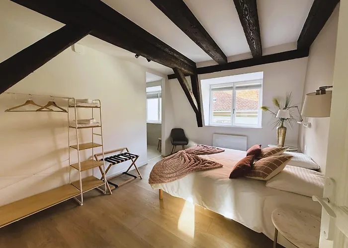 Le Jolie Duplex Colmar