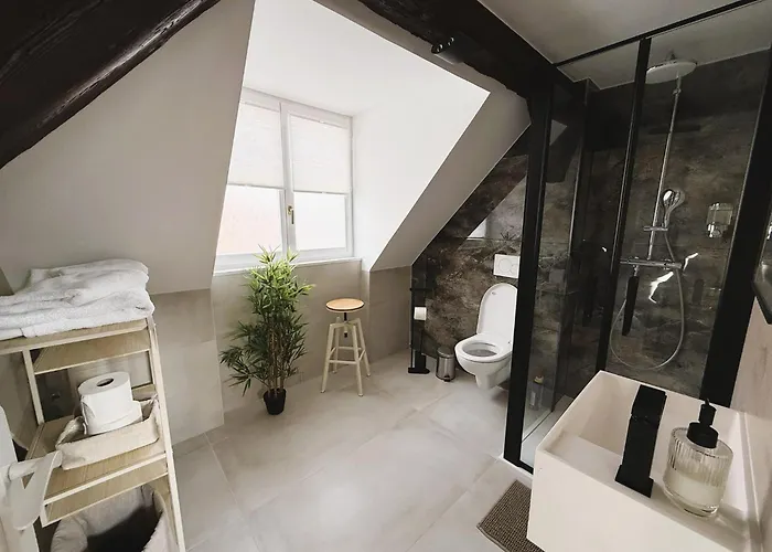 Apartamento Le Jolie Duplex Colmar